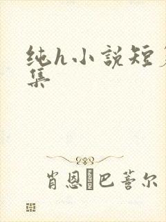 纯h小说短篇合集