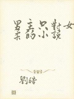 男主只对女主温柔的小说