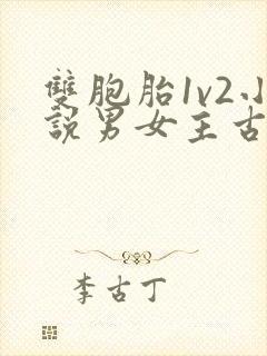 双胞胎1v2小说男女主古言封面