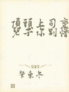 顶头上司变后妈儿子你别懵20集