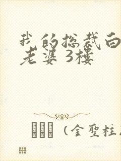 我的总裁白富美老婆 3楼