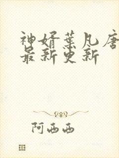 神婿叶凡唐若雪最新更新