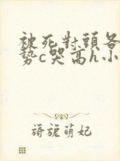 被死对头各种姿势c哭高h小说