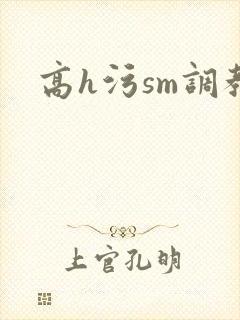 高h污sm调教封面