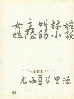 女主叫林婉男主姓陆的小说