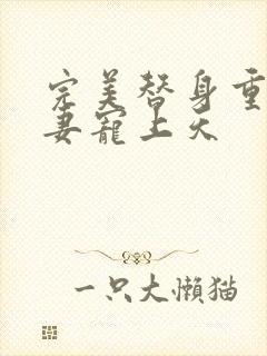 完美替身重生娇妻宠上天