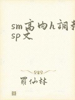sm高肉h调教sp文