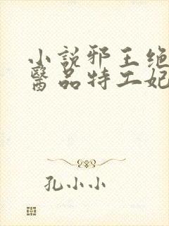 小说邪王绝宠:医品特工妃大结局