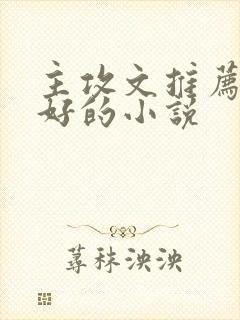 主攻文推荐文笔好的小说