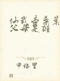 仙武帝尊叶辰的父母是谁