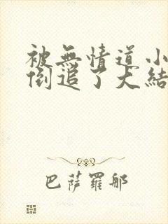 被无情道小师弟倒追了大结局封面