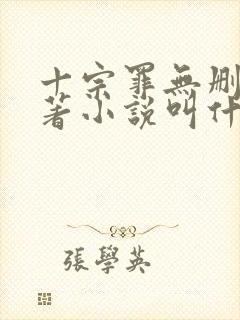 十宗罪无删减原著小说叫什么