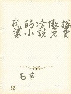 我的冷傲总裁老婆小说免费阅读