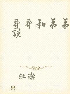 哥哥和弟弟的小说