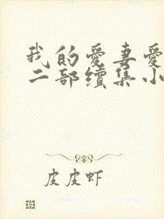 我的爱妻爱女第二部续集小说