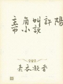 主角叫许阳的都市小说