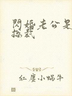 闪婚老公是豪门总裁