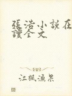 张浩小说在线阅读全文