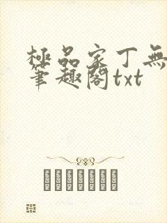 极品家丁无删节笔趣阁txt