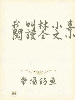 我叫林小喜免费阅读全文小说