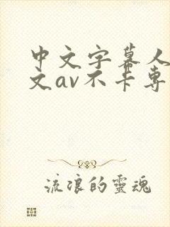 中文字幕人妻中文av不卡专区,中文字幕…