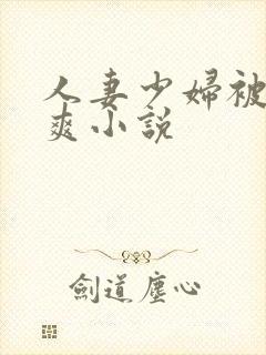 人妻少妇被粗大爽小说