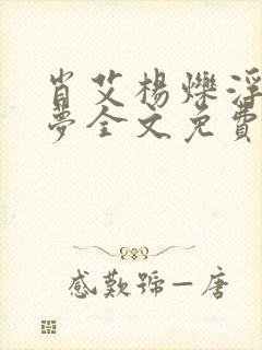 肖艾杨烁浮华逝梦全文免费阅读笔趣阁