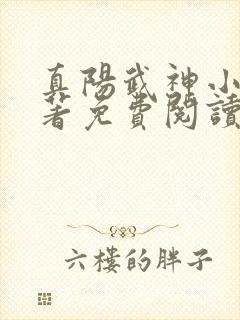 真阳武神小说原著免费阅读