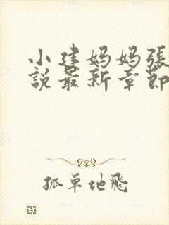 小建妈妈张姨小说最新章节更新时间