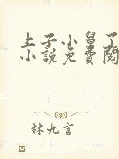 上子小舅了老婆小说免费阅读