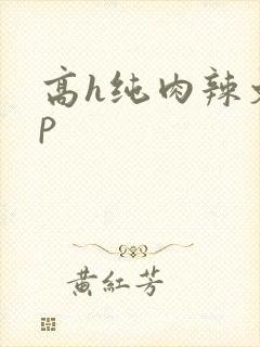 高h纯肉辣文np