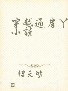 穿越通房丫鬟的小说