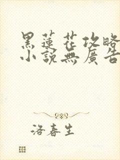 黑莲花攻略手册小说无广告