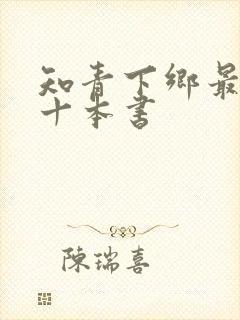 知青下乡最经典十本书封面