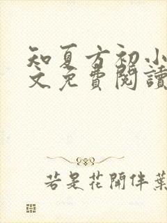 知夏方初小说全文免费阅读最新章节