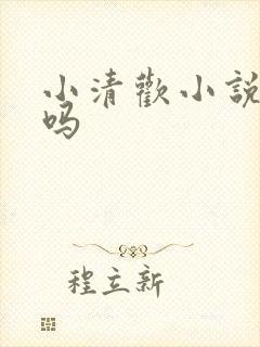 小清欢小说好看吗封面