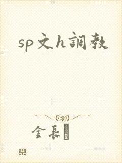 sp文h调教