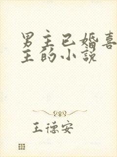 男主已婚喜欢女主的小说