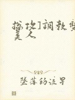 总攻]调教双性美人封面