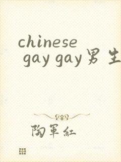 chinese gay gay男生互操网站