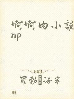 啊啊肉小说嗯嗯np