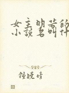 女主明若的穿越小说名叫什么