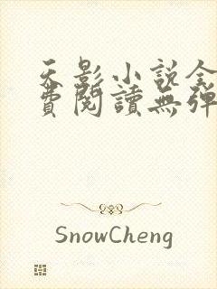 天影小说全文免费阅读无弹窗