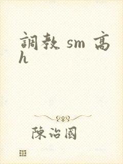 调教 sm 高h