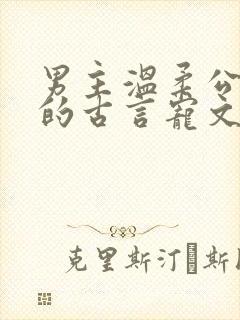 男主温柔公子型的古言宠文