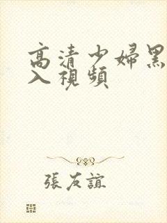 高清少妇黑人进入视频