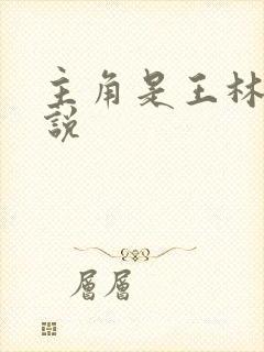 主角是王林的小说