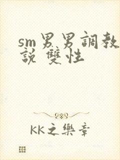 sm男男调教小说 双性封面