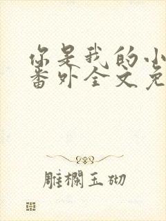 你是我的小确幸番外全文免费阅读