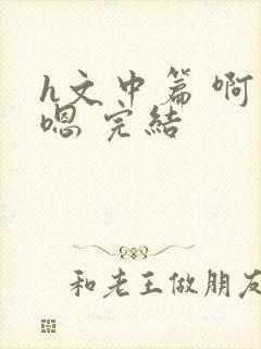 h文中篇 啊…嗯 完结